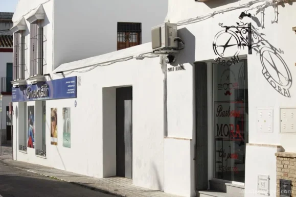 Mora Barbería, Andalucía - Foto 1