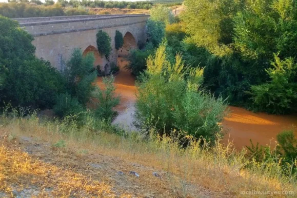 La Puente Vieja, Andalucía - Foto 1