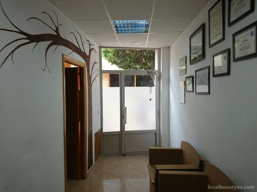 Centro Shanti - Centro de Naturopatía, Quiromasajes y Técnicas Naturales de la Salud, Aragón - Foto 4