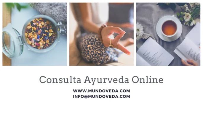 MundoVeda Ayurveda & Yoga, Barcelona - 