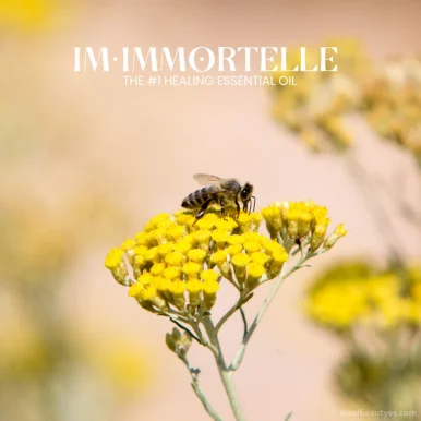 Imimmortelle, Barcelona - 