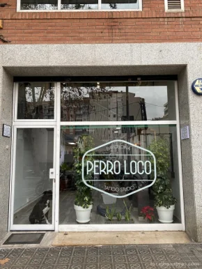 Perro Loco - tattoo studio, Barcelona - 