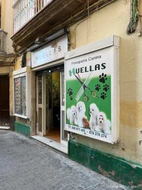 Peluquería canina huellas, Cádiz - Foto 1