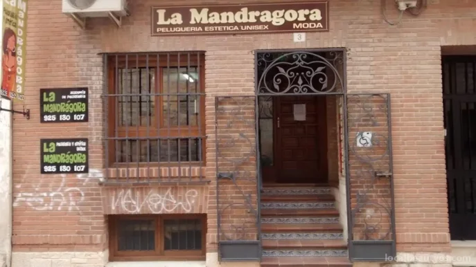 La Mandragora, Castilla-La Mancha - Foto 2