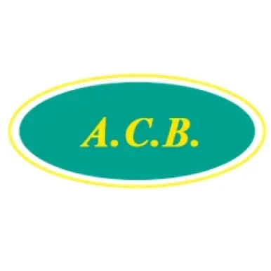 ACB, Castilla y León - Foto 2