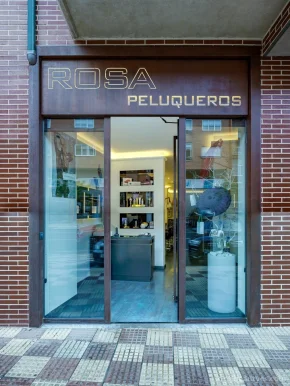 Rosa Peluqueros, Castilla y León - Foto 1