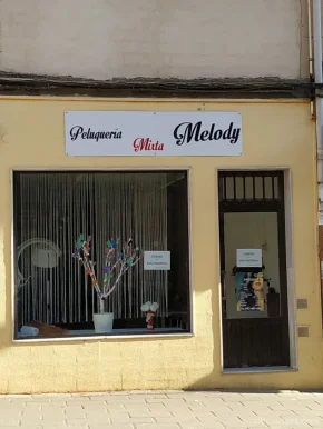 Peluquería Mixta Melody, Castilla y León - 