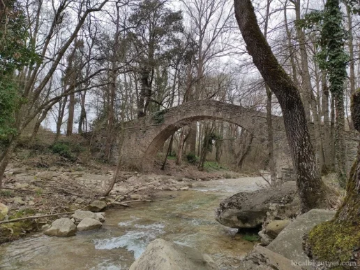 Puente de la Riera, Cataluña - Foto 2