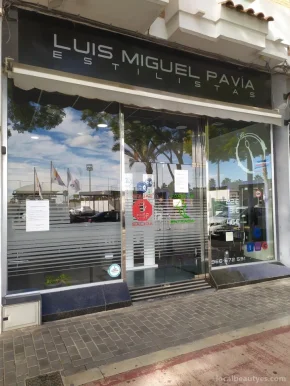 LUIS MIGUEL PAVIA ESTILISTAS - Peluquería - Barbería en Alicante - San Vicente del Raspeig, Comunidad Valenciana - Foto 1
