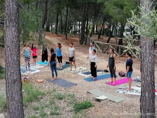 Mindfulness and Yoga, Comunidad Valenciana - Foto 1