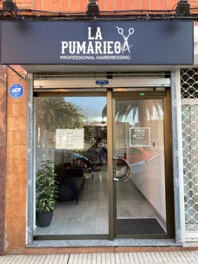 La Pumariega, Gijón - Foto 4
