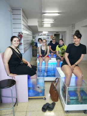 Fish Spa and massage wellness, Islas Baleares - Foto 4