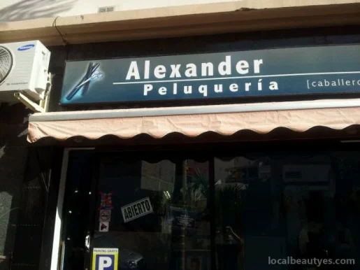 Alexander Peluquería, Islas Canarias - Foto 3