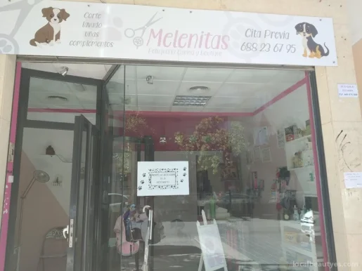 Peluquería Canina melenitas, Jaén - Foto 2