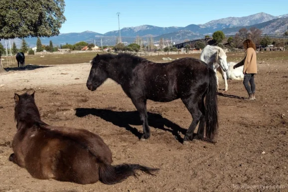 EnTi - Coaching con caballos, Madrid - Foto 1