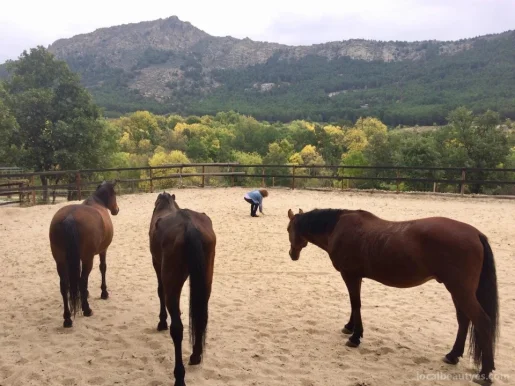 EnTi - Coaching con caballos, Madrid - Foto 2