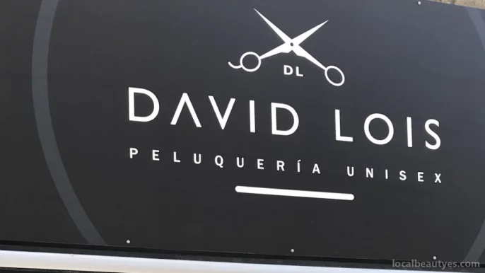 David Lois, Madrid - Foto 2