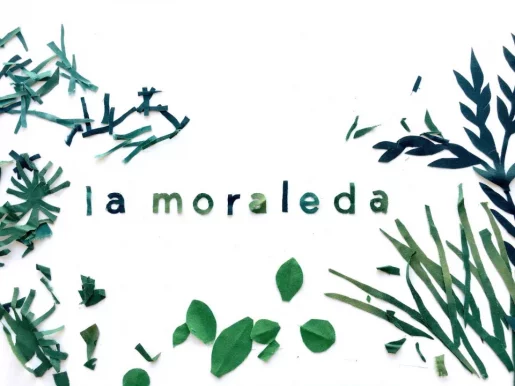 La Moraleda. El alma en tu piel, Madrid - Foto 3