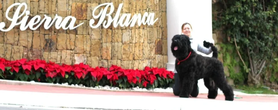 Peluquería Canina Almaz, Dog Beauty salon, Dog Grooming salon, Marbella - Foto 1