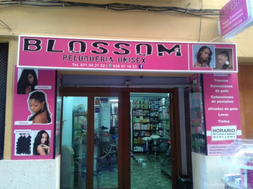 Blossom Peluqueria Unisex (Blacks Afro Hair Shop), Palma de Mallorca - Foto 2