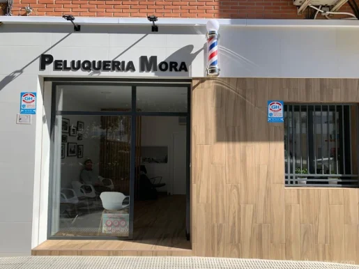 Juan Antonio Mora Peluquero, Región de Murcia - Foto 1