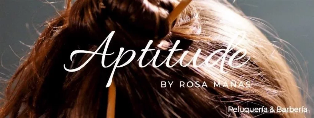 Aptitude by Rosa Mañas, Tarrasa - Foto 1
