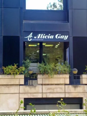 Alicia Gay Peluqueros, Valencia - Foto 1