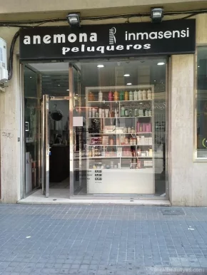 Anemona Valencia, Valencia - Foto 1
