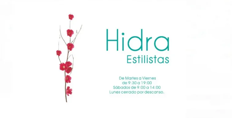 Hidra Estilistas, Vigo - Foto 1