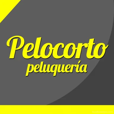 Pelocorto, Zaragoza - Foto 1