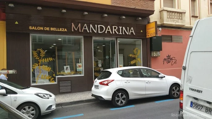 Mandarina, Zaragoza - Foto 2